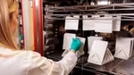 Unilever scientist testing paper-based materials to see if they will retain their quality, strength and appearance throughout the supply chain.