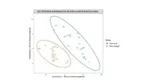 A slide showing two groups of proteins that define hair type
