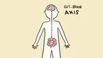 Gut - Brain Axis