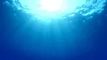 Plastics in the sea