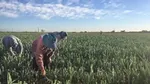 Photo by Unilever employee Guido Ast, Argentina
