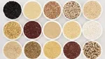 Small white bowls with a variety of grains including quinoa, wild rice, farro, amaranth, etc