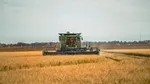 A combine harvester harvesting in a field
