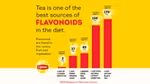 Chart showing tea as one of the best sources of Flavonoids in the diet versus other foods such as fruits and vegetables.